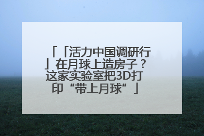 「活力中国调研行」在月球上造房子？这家实验室把3D打印“带上月球”